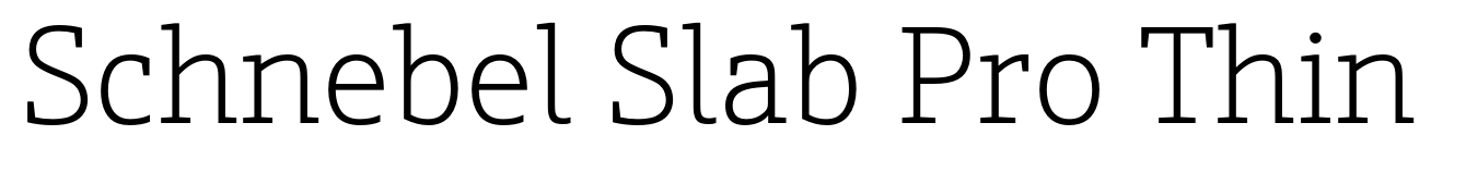 Schnebel Slab Pro Thin